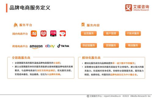 2023年中国品牌电商服务行业研究报告 信息咨询服务的价值重塑与发展洞察